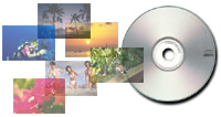 パソコン PCパーツ GREEN HOUSE DISPY24
