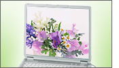 �p�\�R�� �o�b�p�[�c �m�d�b�m�[�g�p�\�R�� LaVie PC-LL350BD