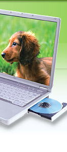 �p�\�R�� �o�b�p�[�c NEC �m�[�g�p�\�R�� Lavie PC-LL350AD