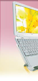 �p�\�R�� �o�b�p�[�c NEC �m�[�g�p�\�R�� Lavie PC-LN500AD1