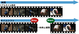 パソコン PCパーツ Wチューナ搭載 MPEG2エンコータ TVキャプチャカード SK-MTVP5